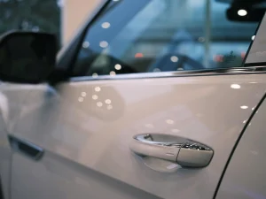 Volkswagen Teramont President